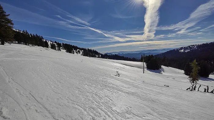Grouse Gap Shelter 3