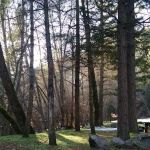 Beaver Creek Campground