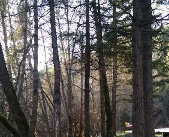 Beaver Creek Campground