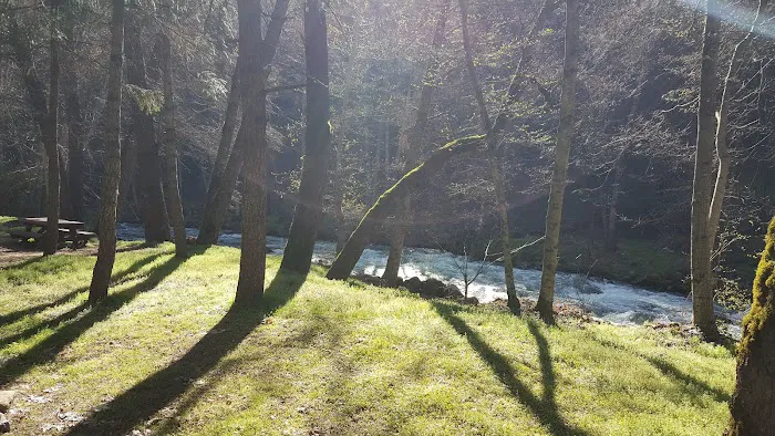 Beaver Creek Campground 2