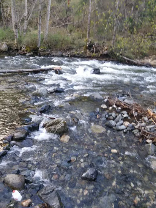 Beaver Creek Campground 5