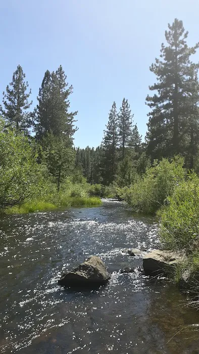 Goumaz Campground/Biz Johnson Trail 0