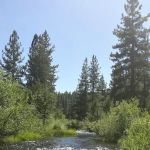 Goumaz Campground/Biz Johnson Trail