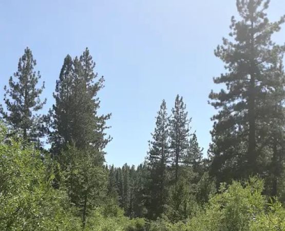 Goumaz Campground/Biz Johnson Trail
