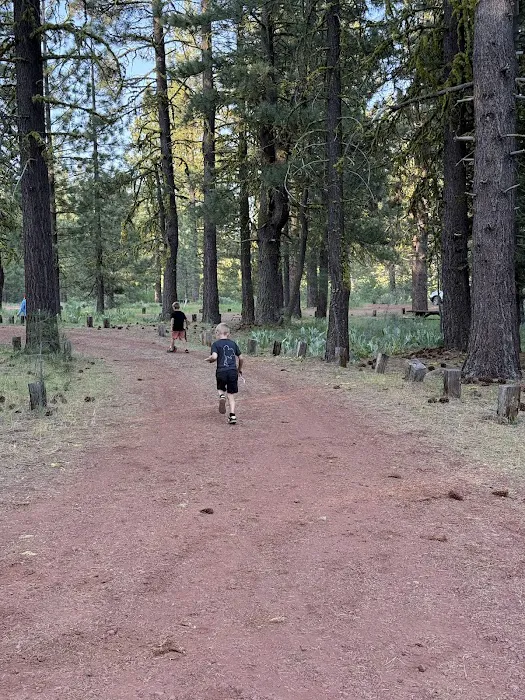 Goumaz Campground/Biz Johnson Trail 4