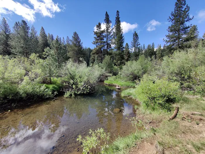 Goumaz Campground 1