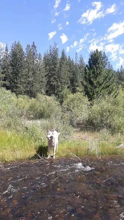 Goumaz Campground 0