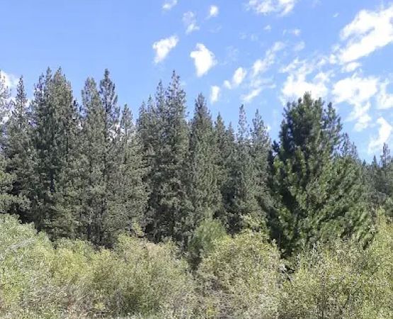 Goumaz Campground