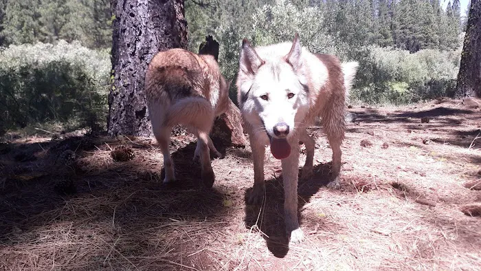 Goumaz Campground 6