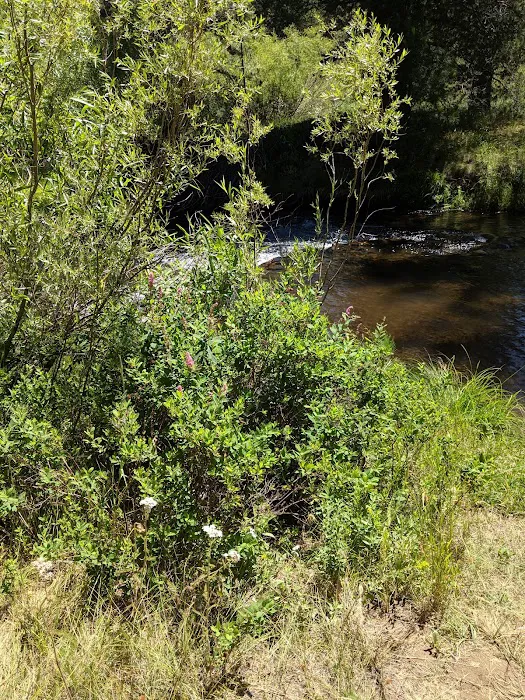 Goumaz Campground 5