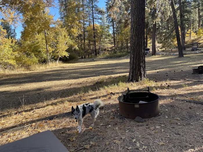 Hobo Camp 3