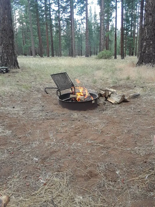 West Eagle Group Campground 8