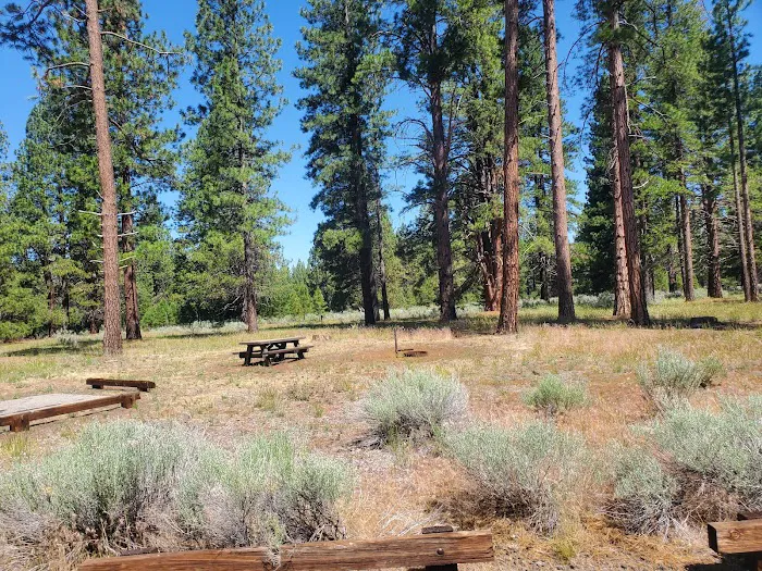Eagle campground 0