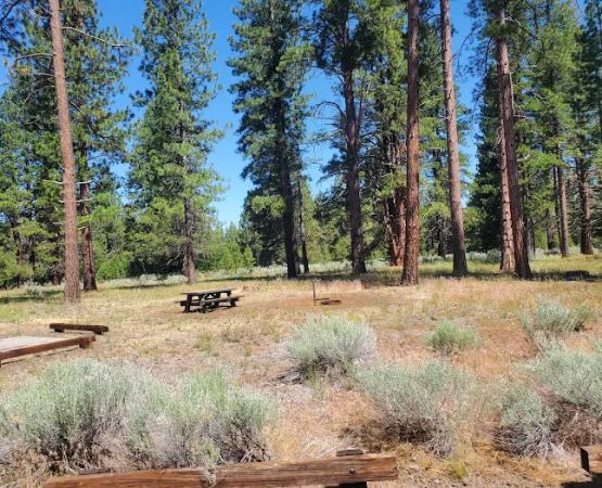 Eagle campground