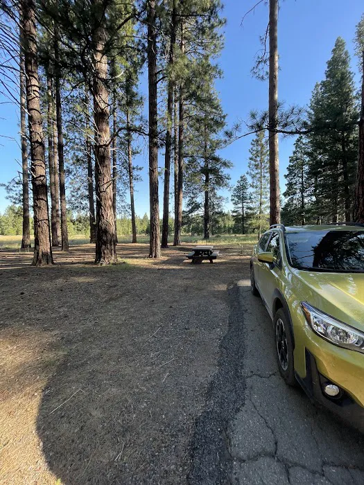 Eagle campground 3
