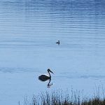 Christie Day Use Area Campground