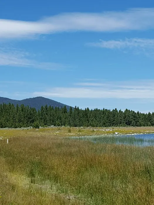 Christie Day Use Area Campground 6