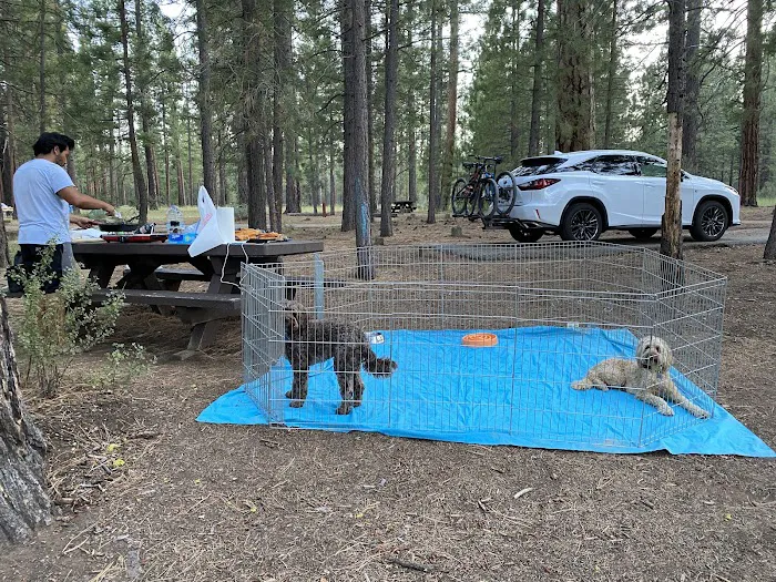 Christie Campground 5