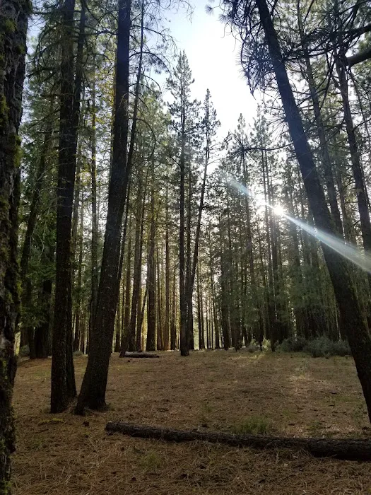 Boulder Creek Campground 5