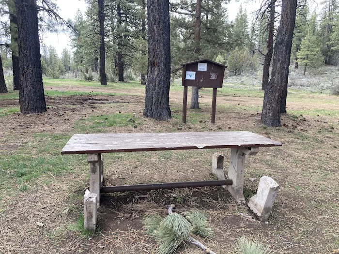 Susanville BLM Campground 2