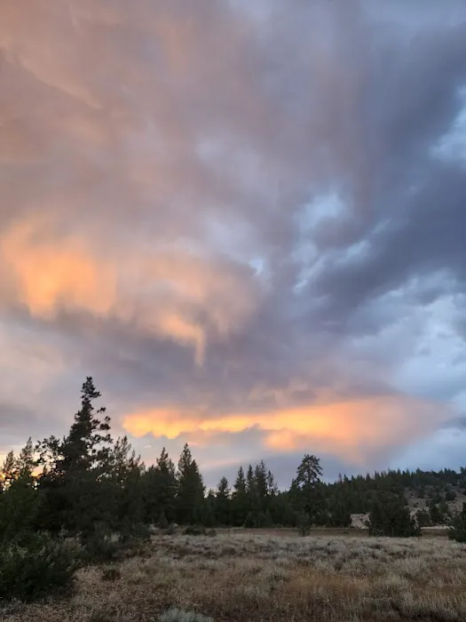 Susanville BLM Campground 3
