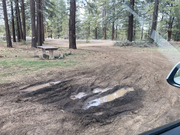 Susanville BLM Campground 4