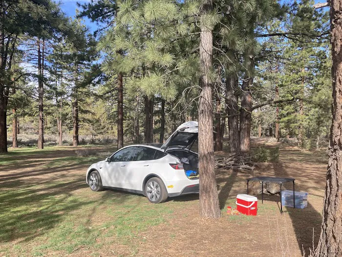 Susanville BLM Campground 5