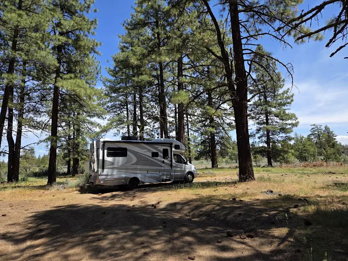 Susanville BLM Campground 6