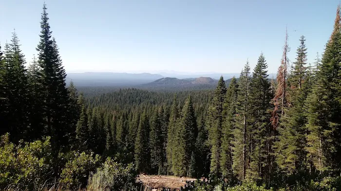 Hemlock Campground 3