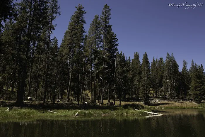 Little Medicine Lake Picnic Site (recgovnpsdata) 0