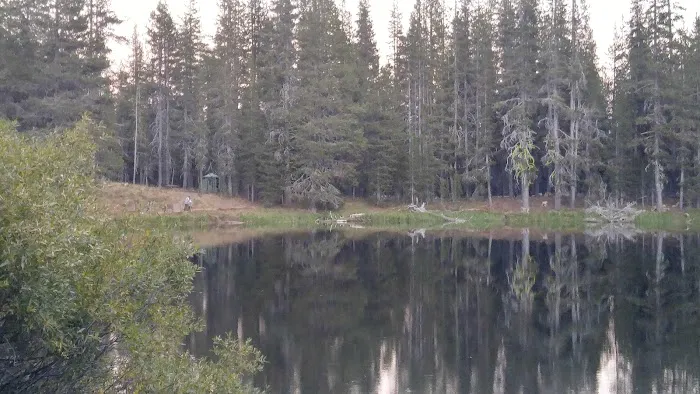 Little Medicine Lake Picnic Site (recgovnpsdata) 4