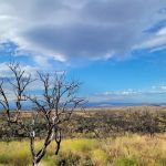 Indian Well Campground