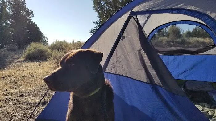 Indian Well Campground 9