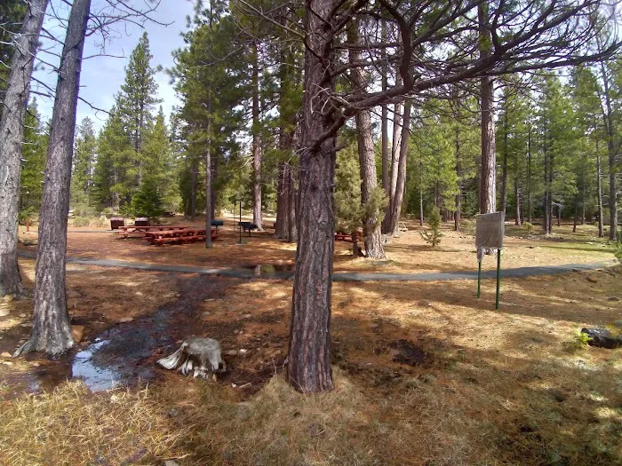 Juanita Lake Group Site 3