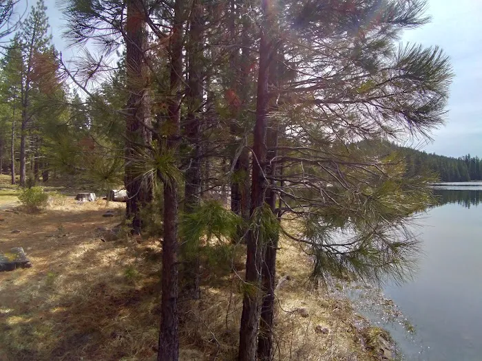 Juanita Lake Group Site 0
