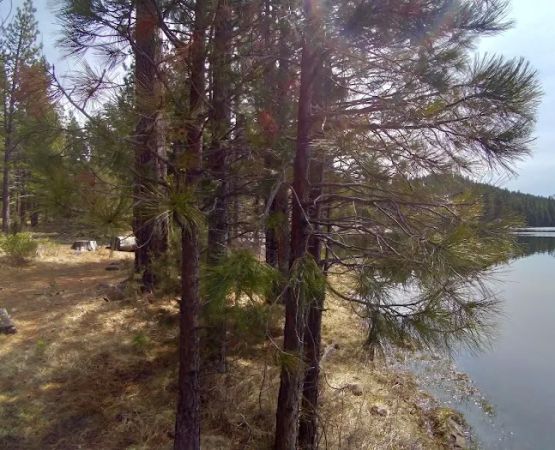 Juanita Lake Group Site
