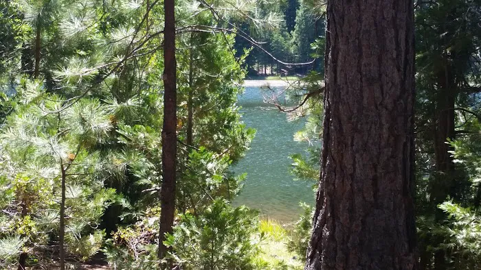 Juanita Lake Group Site 4