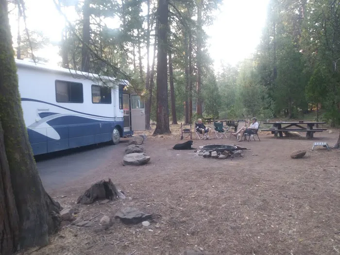 Juanita Lake Group Site 6
