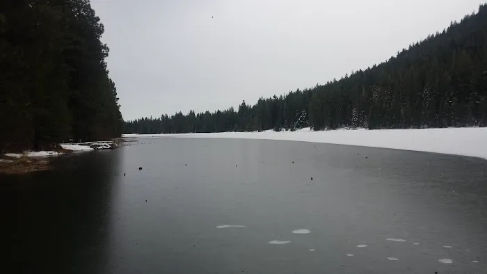 Juanita Lake Group Site 9