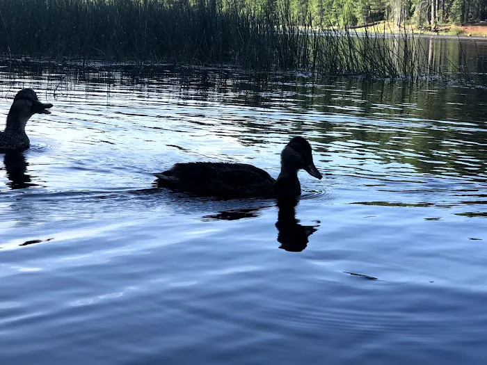 Juanita Lake Campground 7