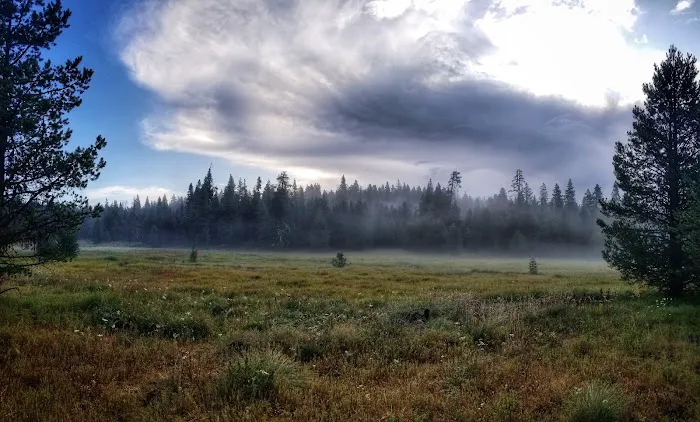 Martin's Dairy Campground 0