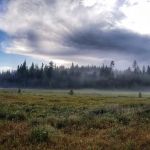 Martin's Dairy Campground