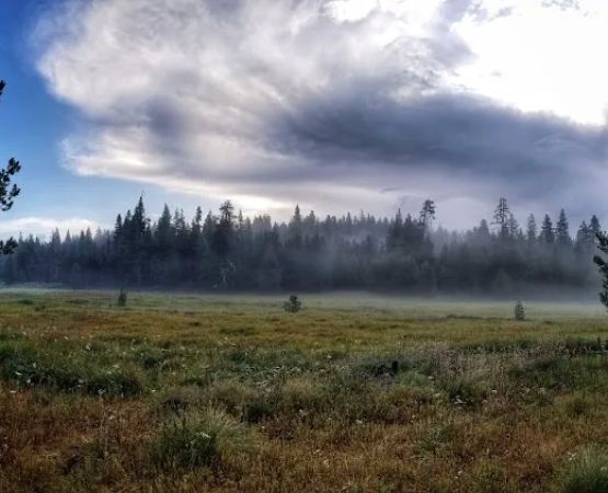 Martin's Dairy Campground