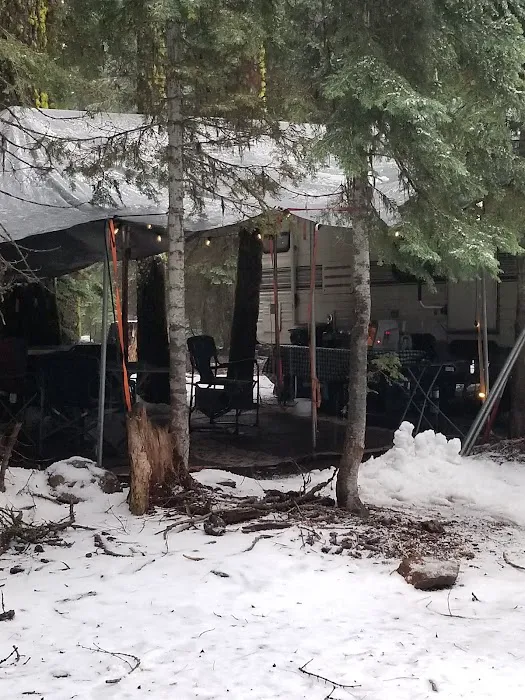 Martin's Dairy Campground 5