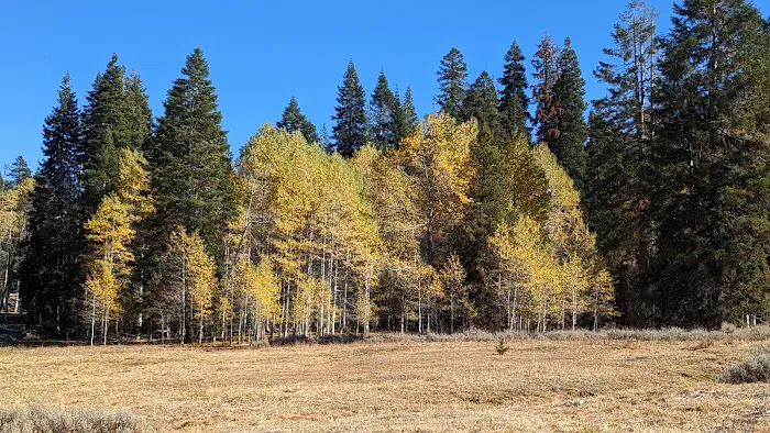 Martin's Dairy Campground 7