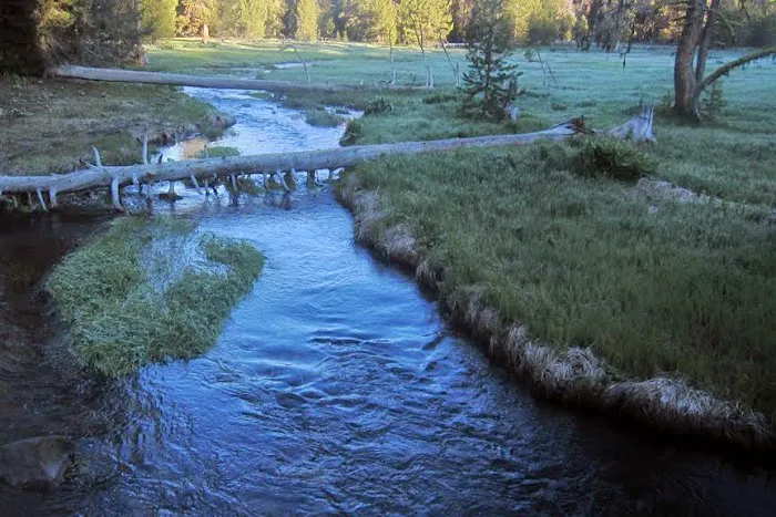 Martin's Dairy Campground 6