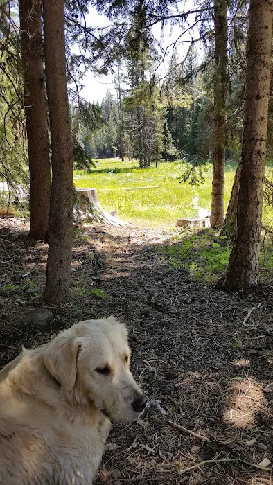 Martin's Dairy Campground 8