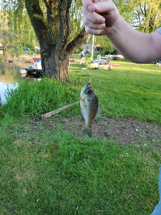 Walden Woods Campground 8