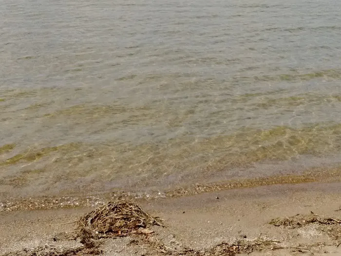 Public Beach And Playground 4