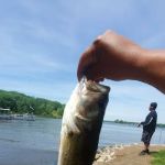 Public Beach And Playground